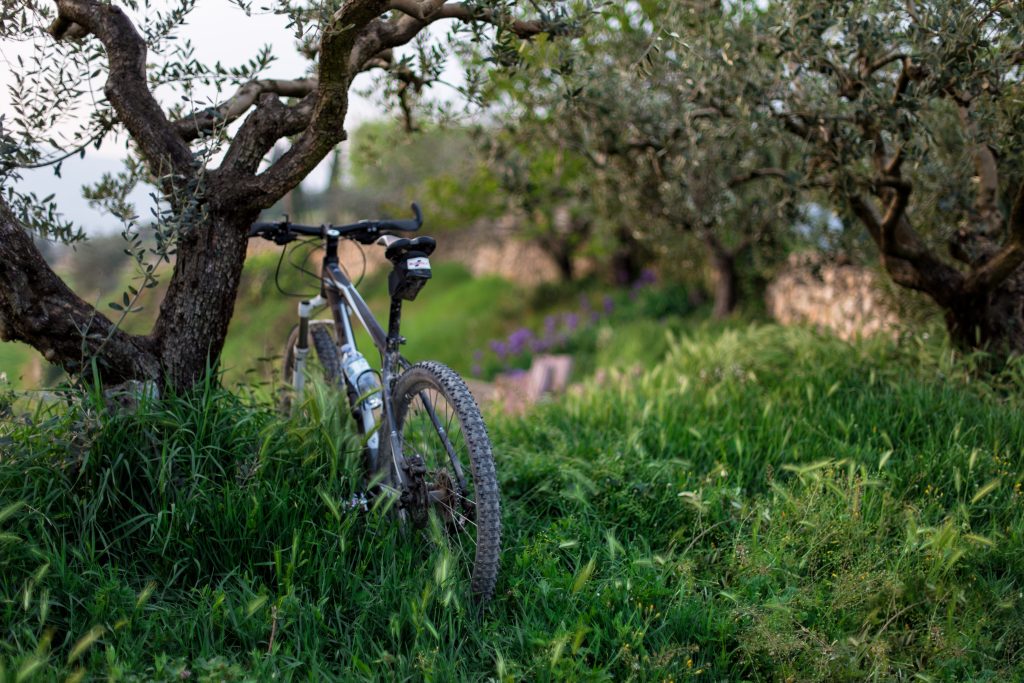 príprava bicykla na sezónu